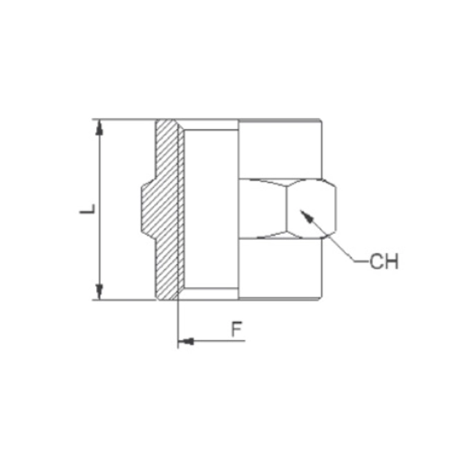 Vendita online Manicotto cilindrico BSPP metrico
